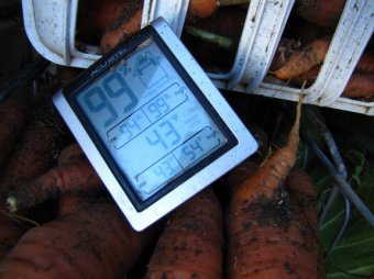 Humid conditions within a root cellar