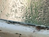 Condensation in house